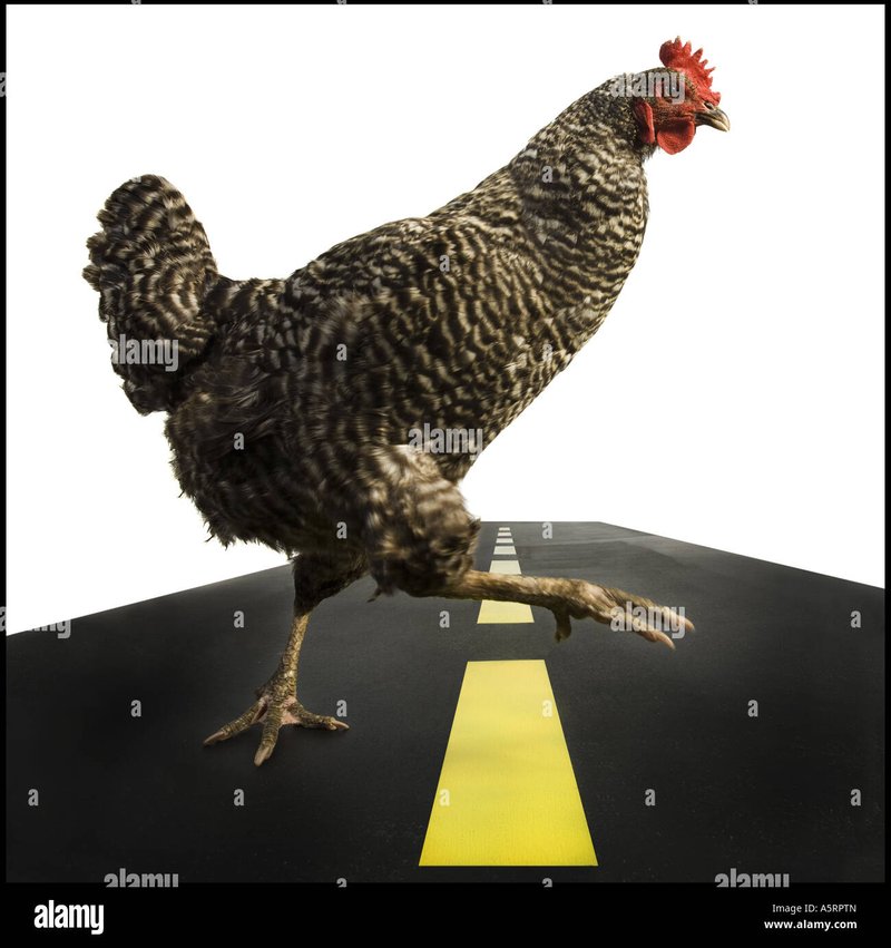 Een Geleid Gids naar het Populaire Spel Chicken Road in Nederland