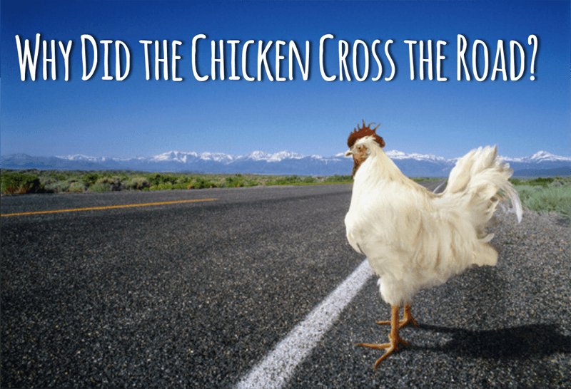 Best chicken road oficial in Spain
