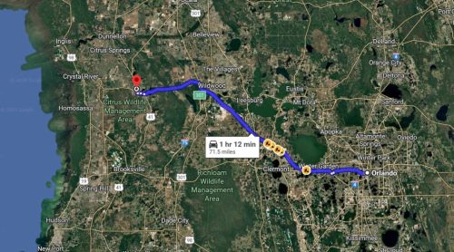 44 (1) (1) (1) (1) (1) (1) (1) (1) (1) (1) (1) (1) (1) (1) (1) (1) (1)